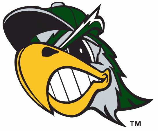 South Bend Silver Hawks 2009-pres alternate logo iron on transfers for T-shirts